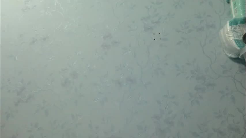 20dasha Adult Chat January 18, 2026