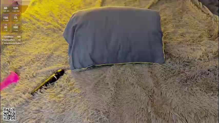 camienevius Adult Chat January 18, 2026