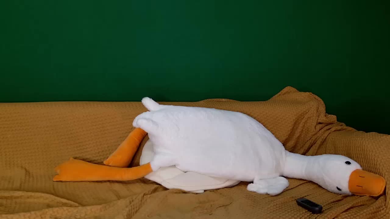 jane-booblegum Adult Chat January 19, 2026