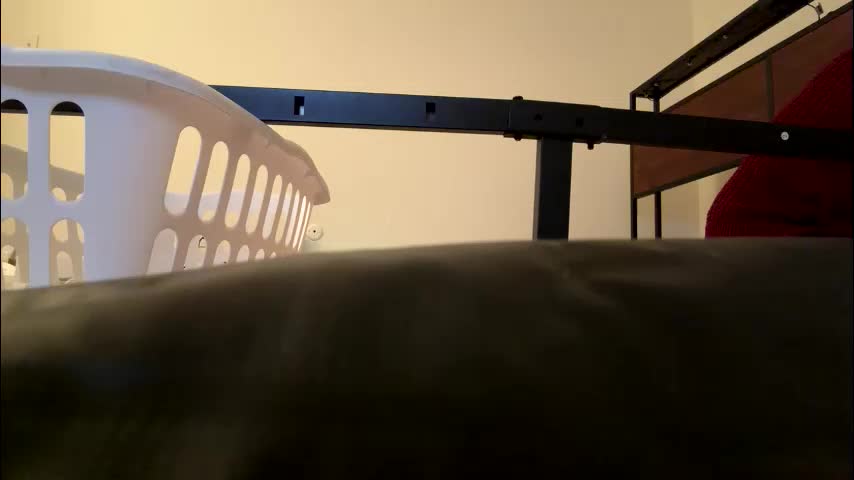 xpbunni Adult Chat January 19, 2026