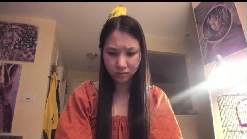 alizezaide Adult Chat January 19, 2026