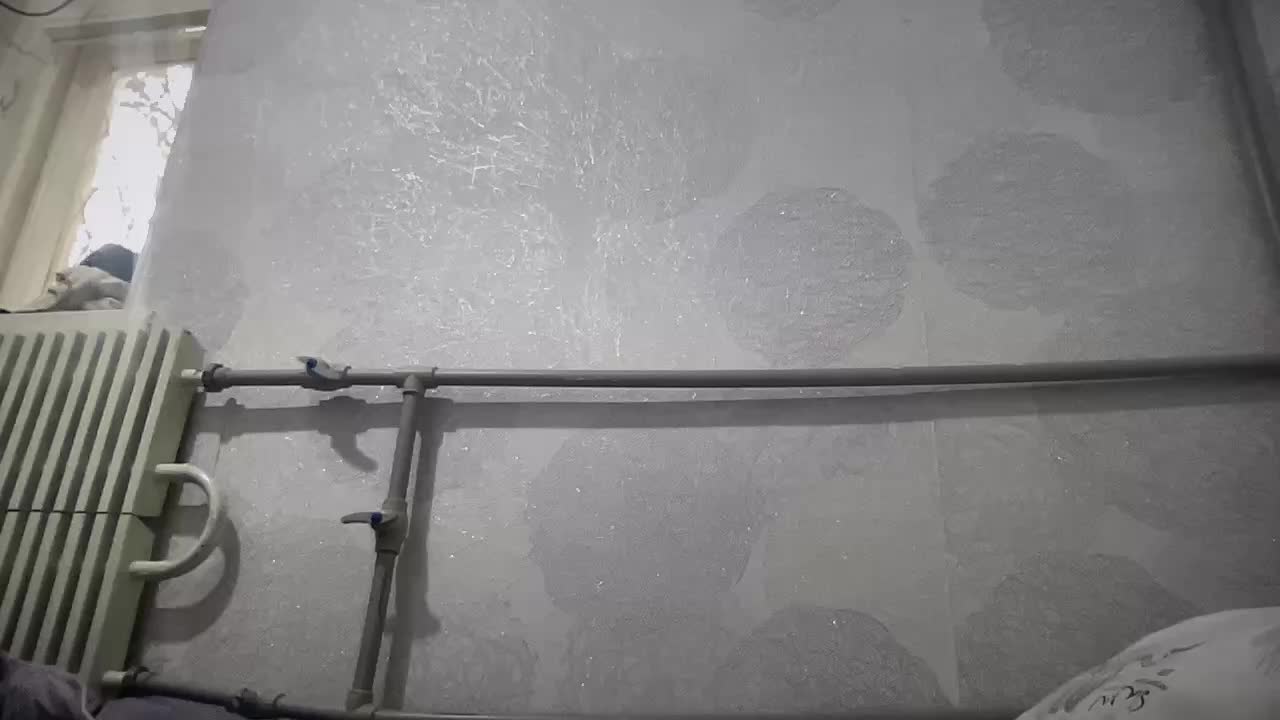 Natalii87 Adult Chat January 19, 2026