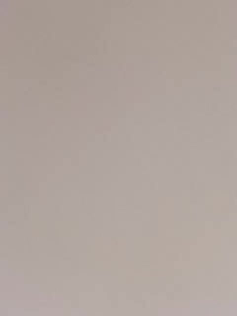 Jemma-Cori Adult Chat January 19, 2026