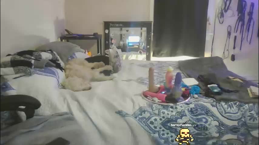 kristycake Adult Chat January 19, 2026