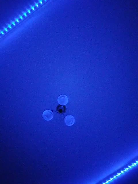 Leisan Adult Chat January 20, 2026