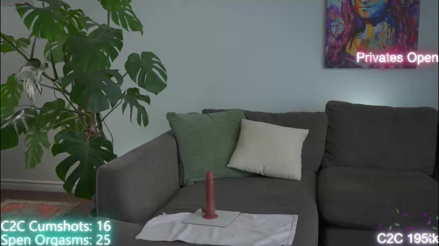 aspenwild Adult Chat January 20, 2026