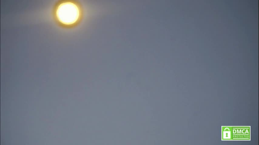 tashinapetitto Adult Chat January 21, 2026