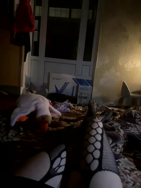 Velimir1231 Adult Chat January 21, 2026