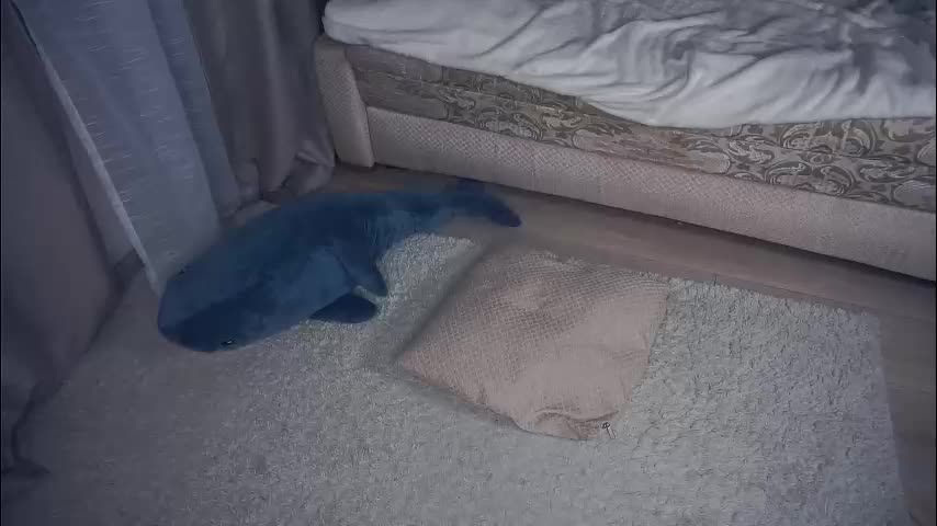 meghanantell Adult Chat January 21, 2026