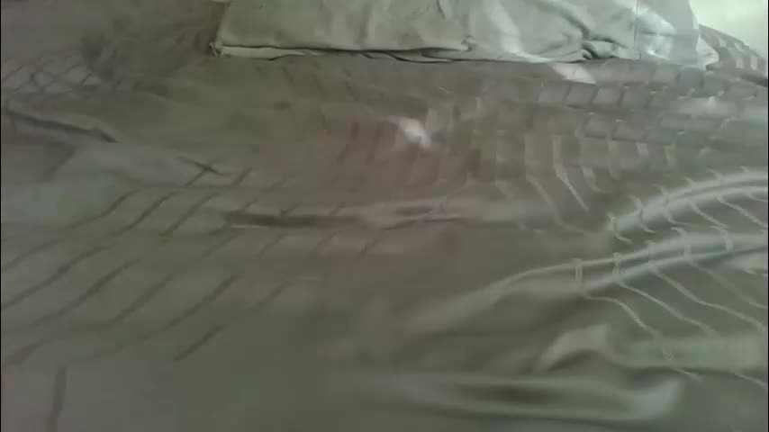 purplelotusgirl Adult Chat January 21, 2026