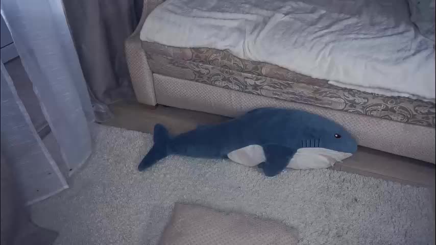 meghanantell Adult Chat January 21, 2026