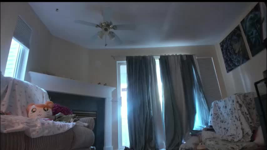 alizezaide Adult Chat January 21, 2026