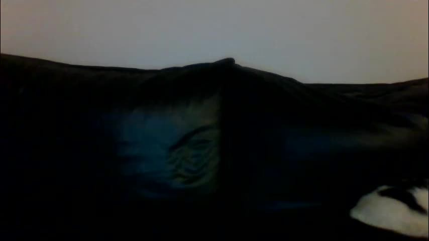 milagaborxx Adult Chat January 21, 2026