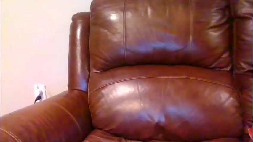 alliebearx Adult Chat January 21, 2026