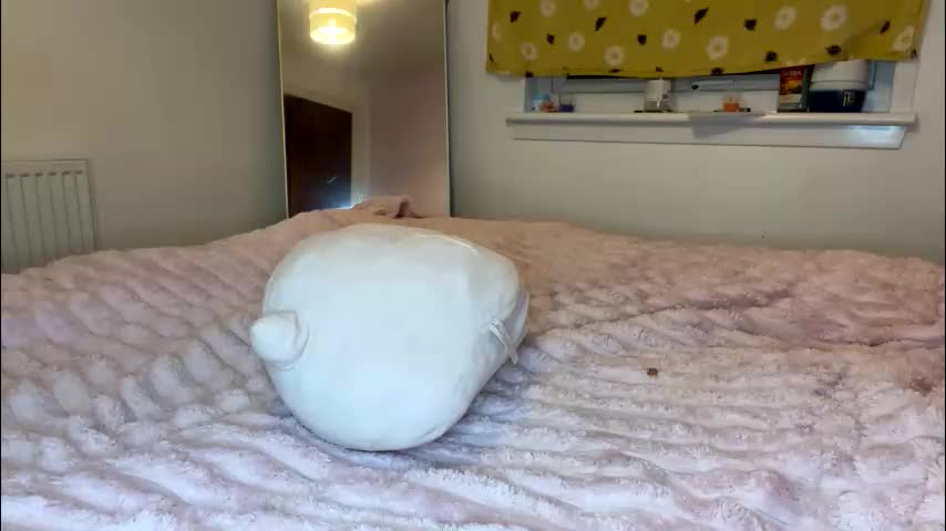 cheekykatx Adult Chat January 22, 2026