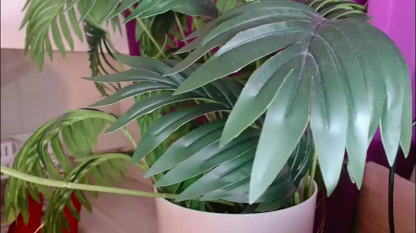 imcarrieberry Adult Chat January 22, 2026