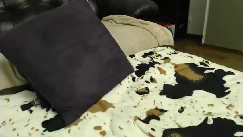 hot44cat Adult Chat January 22, 2026