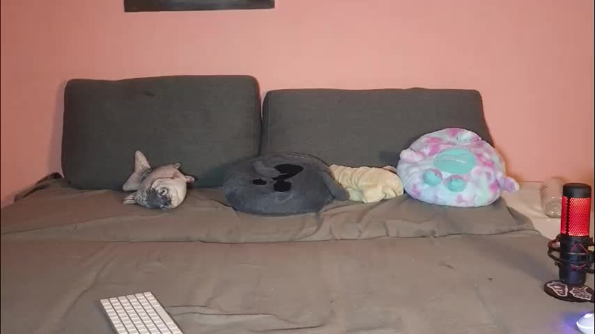 katusha008 Adult Chat January 22, 2026