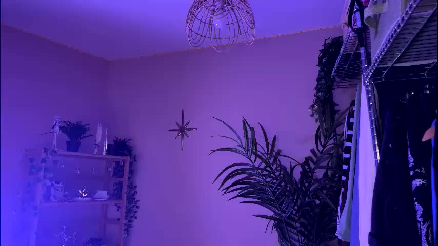 vixenp Adult Chat January 22, 2026