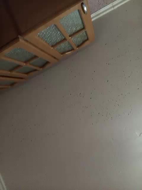 exnasisi Adult Chat January 22, 2026