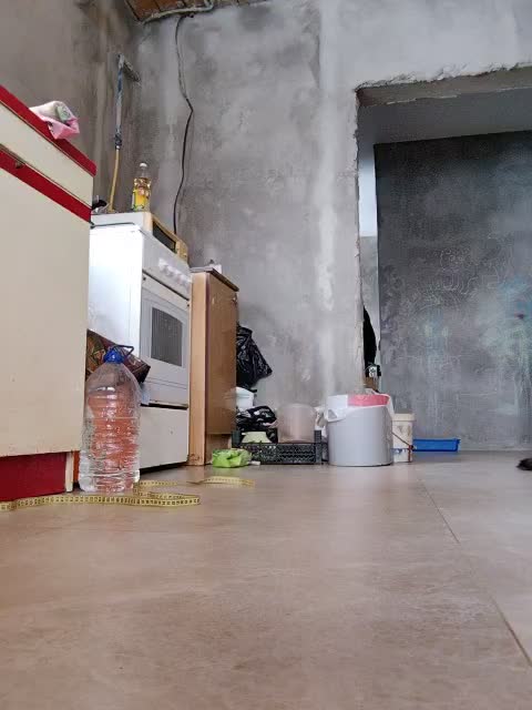 misReborn_Arieli Adult Chat January 22, 2026