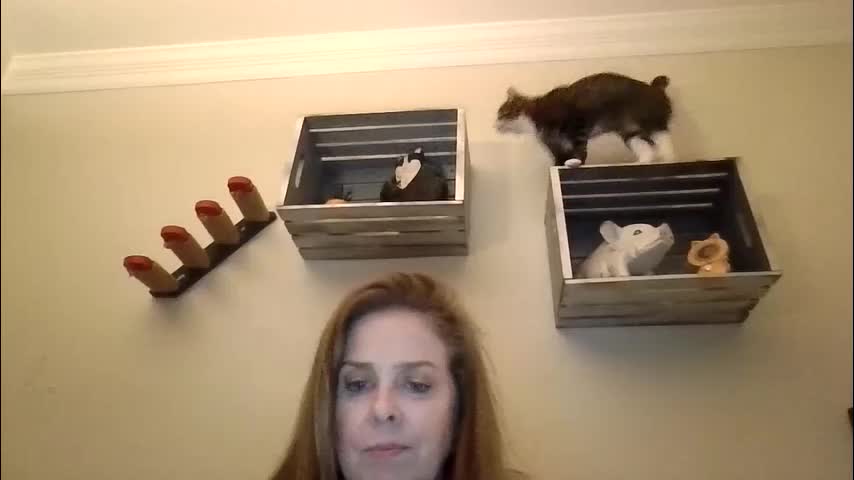 iampoppyy Adult Chat January 22, 2026