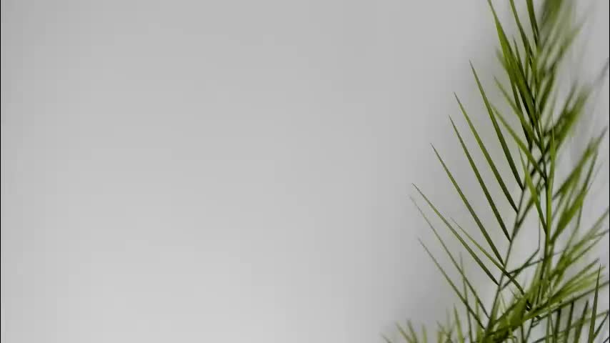 misspanthera Adult Chat January 22, 2026