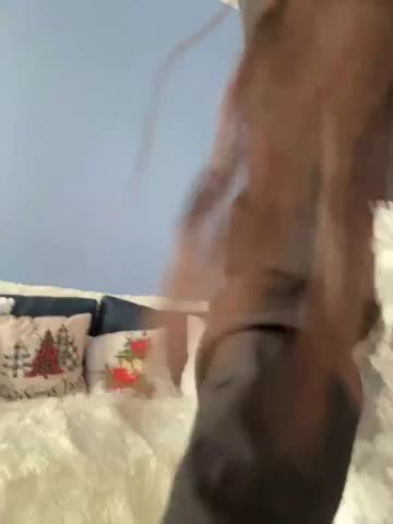 _Mimo_ Adult Chat January 23, 2026