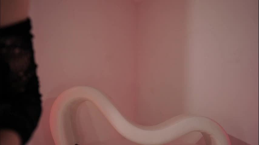 _meganmeow_ Adult Chat January 23, 2026