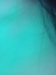 Ali_na Adult Chat January 23, 2026