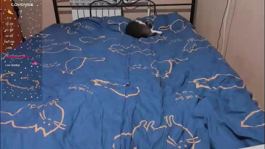 eva_zero Adult Chat January 23, 2026