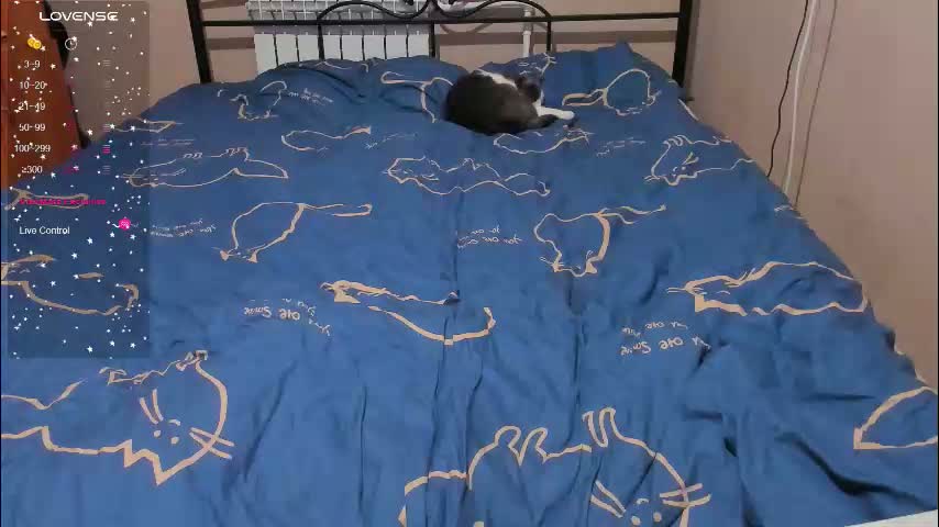 eva_zero Adult Chat January 22, 2026