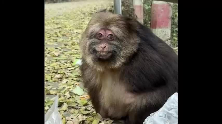 nervus_vagus Adult Chat January 23, 2026