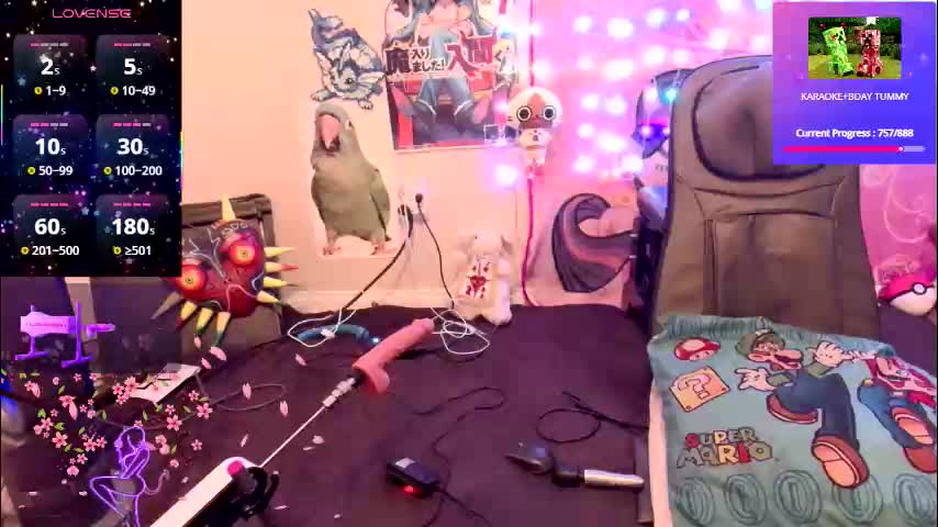 babyzelda Adult Chat January 23, 2026