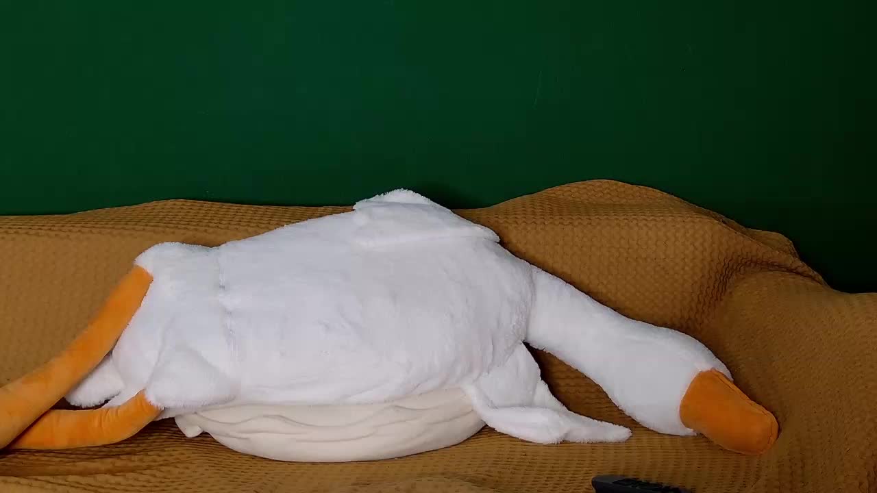 jane-booblegum Adult Chat January 23, 2026