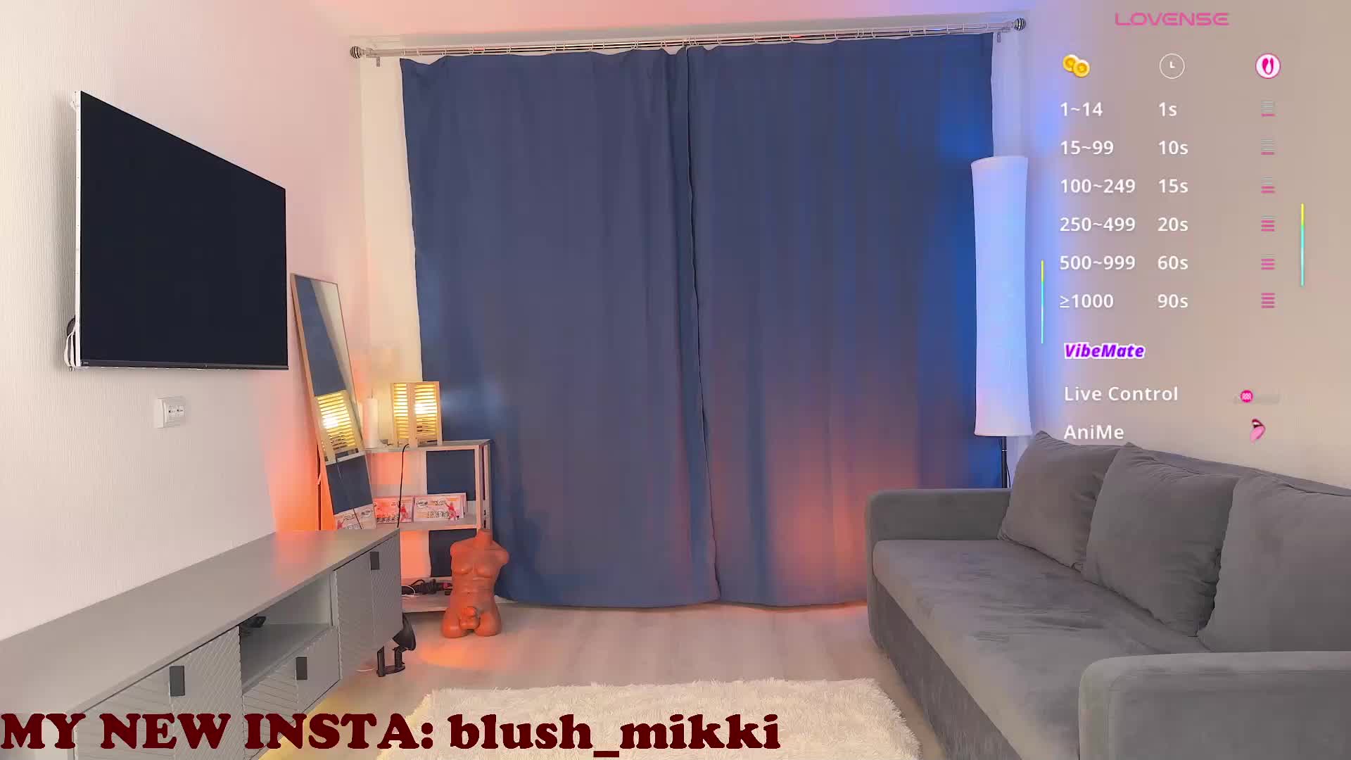 BlushMikki Adult Chat January 24, 2026