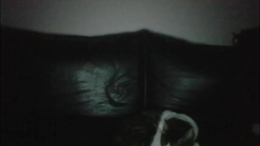 milagaborxx Adult Chat January 24, 2026