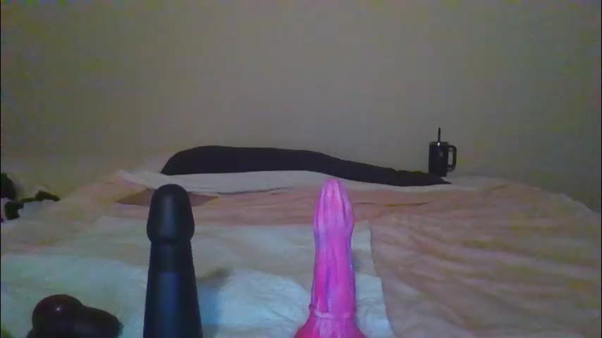 sdbeachfreaks Adult Chat January 24, 2026