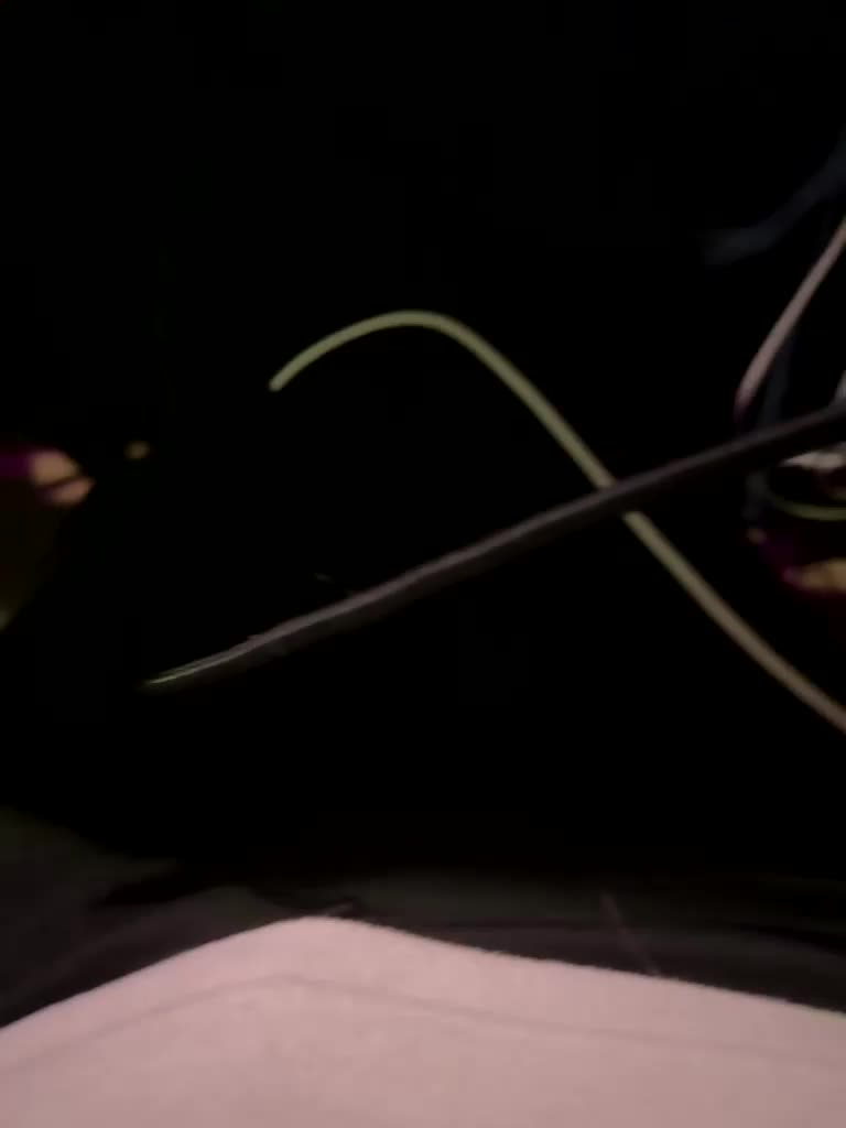 Ariel-la Adult Chat January 24, 2026