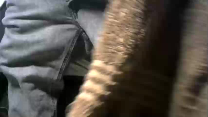 xbigtymerx Adult Chat January 24, 2026