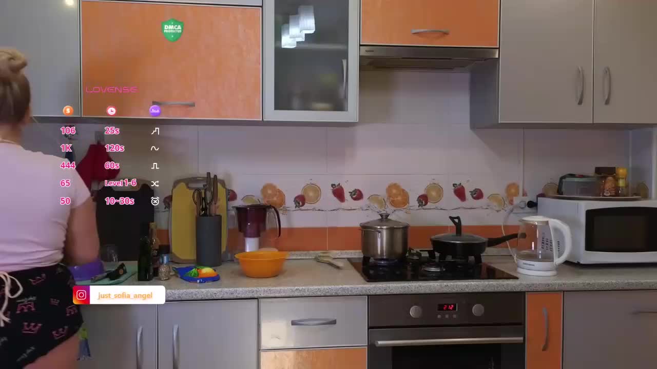 JUST_SOFIA Adult Chat January 24, 2026