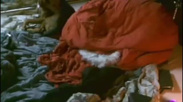 annunakispawn Adult Chat January 24, 2026