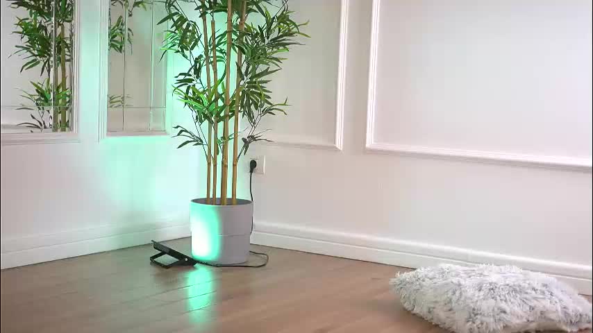 alexxiskye Adult Chat January 24, 2026