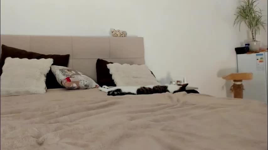 imogensy Adult Chat January 24, 2026