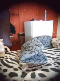 999_SexyNaturalka3_333 Adult Chat January 24, 2026