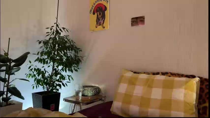 di_n_alex Adult Chat January 24, 2026