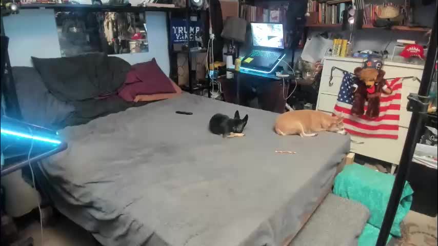 pink_black Adult Chat January 24, 2026