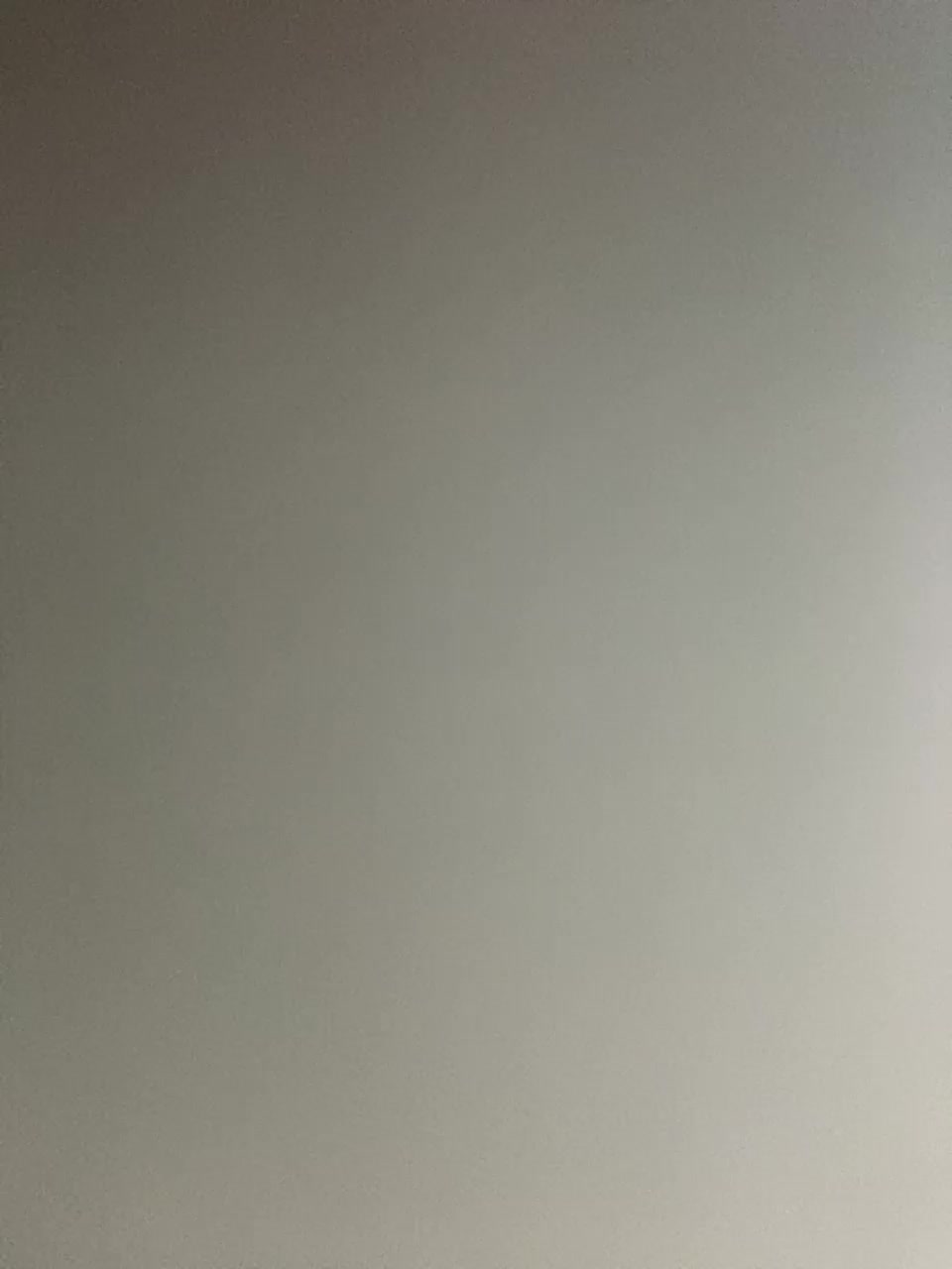 PARAmeow Adult Chat January 25, 2026