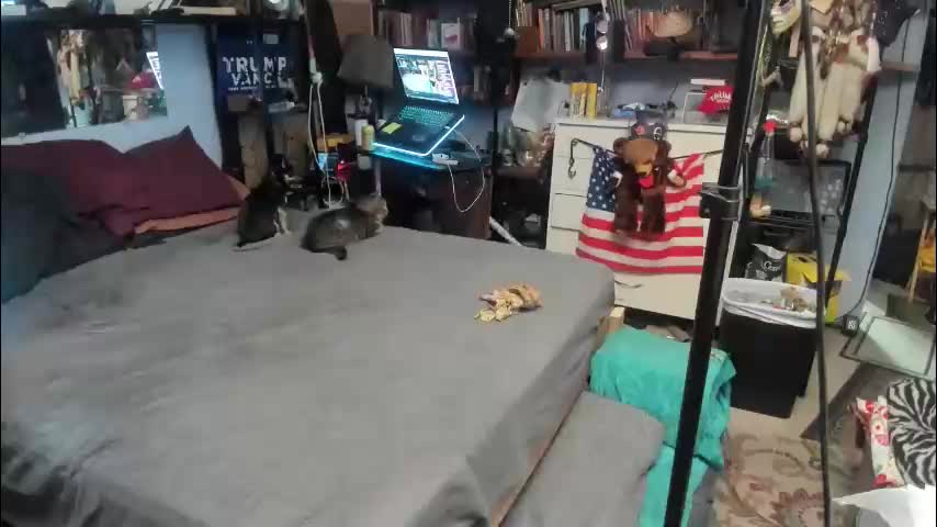 pink_black Adult Chat January 24, 2026