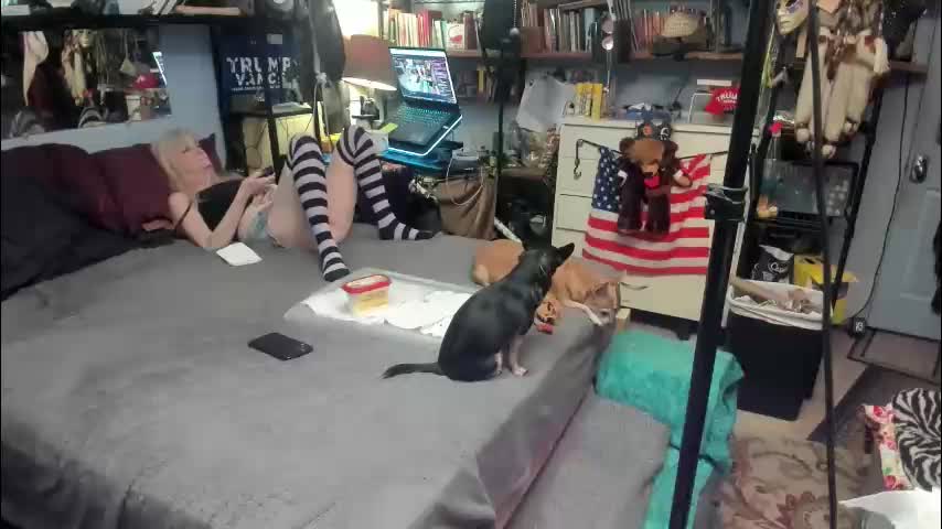 pink_black Adult Chat January 25, 2026